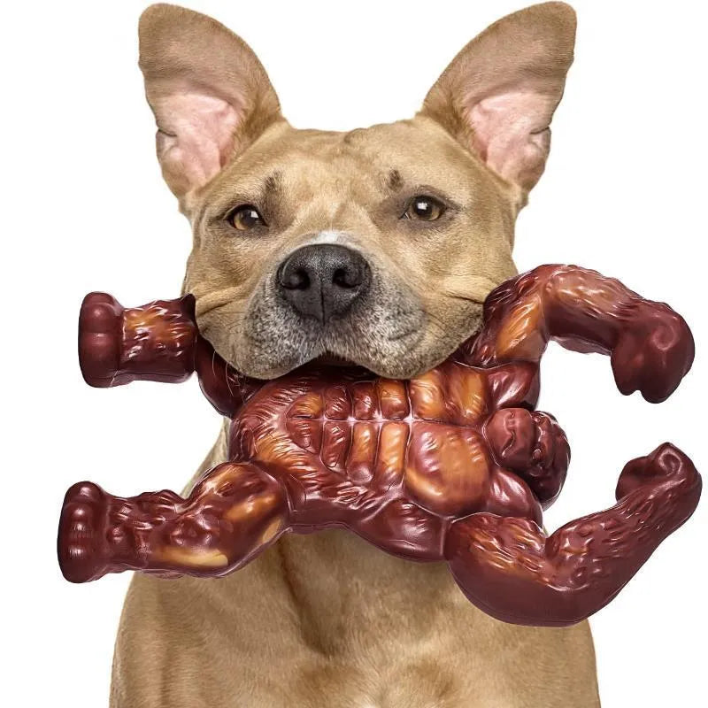 Scarlet coloured nylon dog chew toy with beef flavour and textured molar design