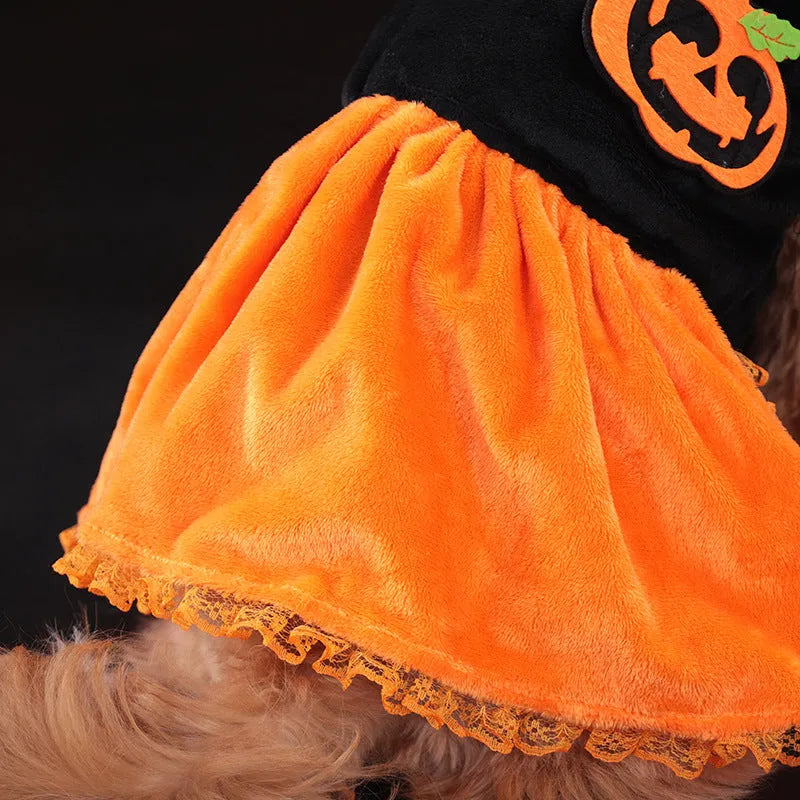 Small dog wearing a orange crystal velvet Halloween pumpkin skirt costume with green leaf accents.