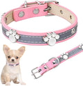 Reflective adjustable leather dog collar with metal buckle and paw rivet on a grey background.