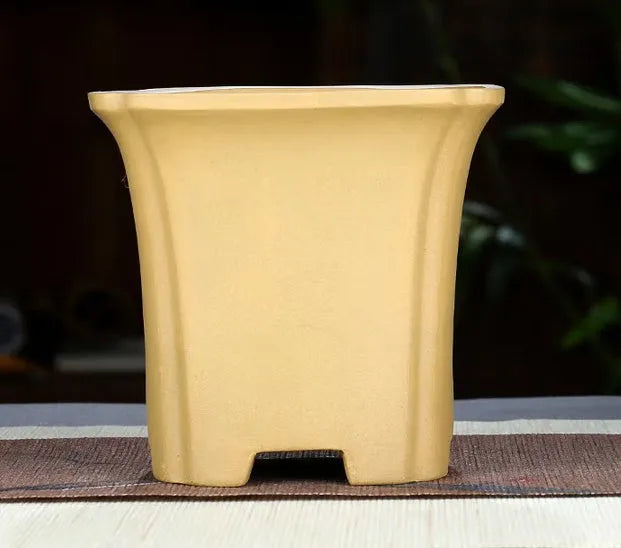 Purple clay orchid pot, classical square shape, 15.5 cm width, 13.8 cm opening, 14 cm height, fine pottery