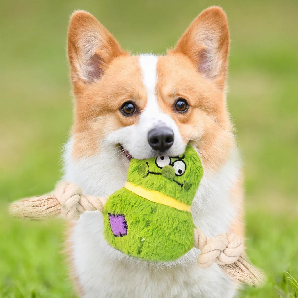 Green and purple interactive dog toy with cotton rope knots and a soft plush centre.