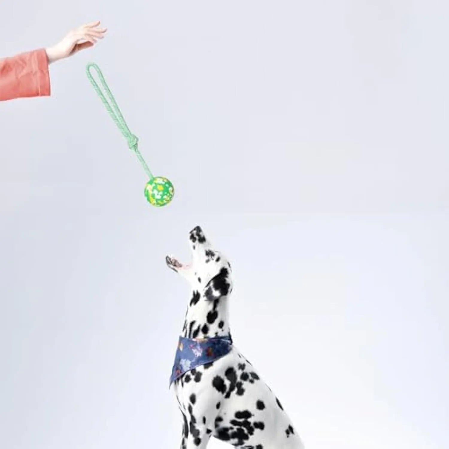 Natural rubber dog ball attached to a nylon rope for fetch and tug of war play.