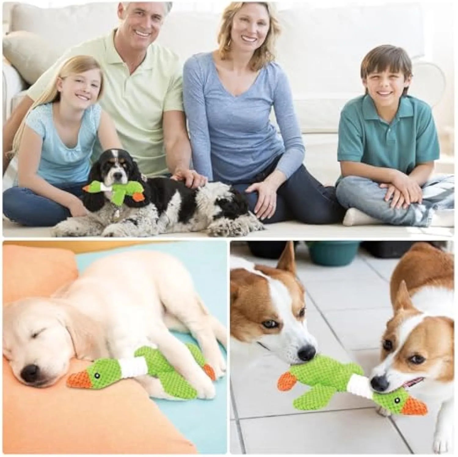 Blue duck-shaped dog plush toy with squeakers for small medium large breed dogs