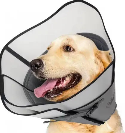 Adjustable polyester pet sterilization collar shown in single-layer and double-layer styles.