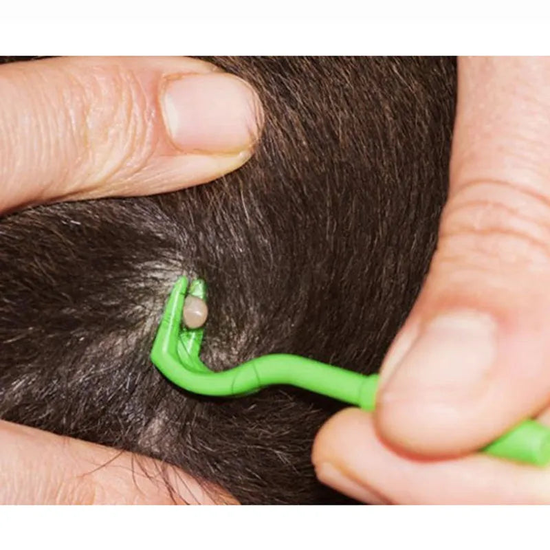 3 plastic tick removal tools for pets in blue and green colours