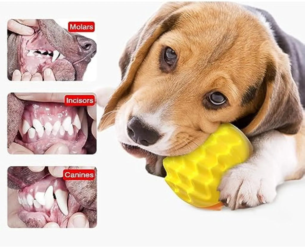 Blue rubber dog ball with spiky texture for dental cleaning and squeaker inside