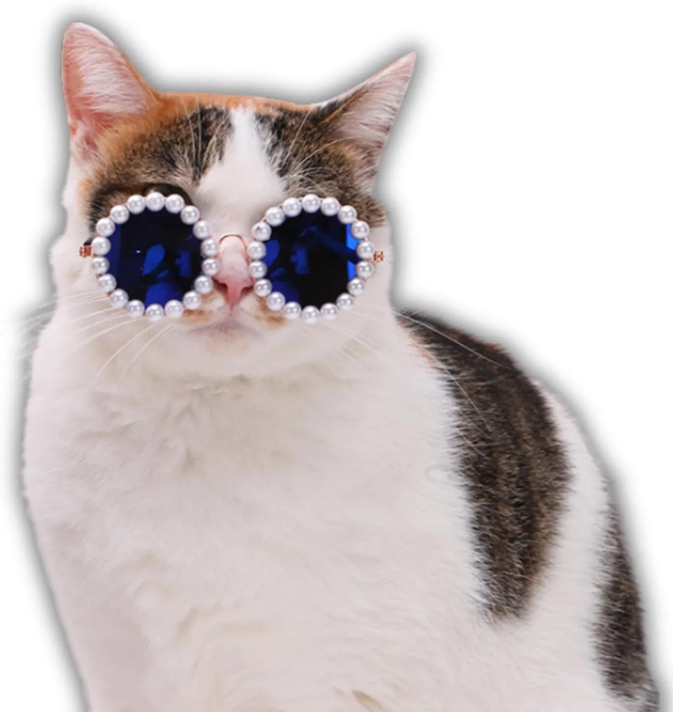Pearl-decorated round sunglasses for cats and dogs in multiple colours and two sizes