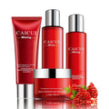 Red packaged pomegranate skincare set containing face wash, toner, lotion and facial cream bottles.