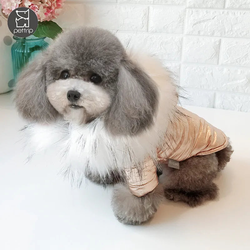Padded winter dog coat in gold cotton, shown on a dog, size M, with neck and chest measurement details