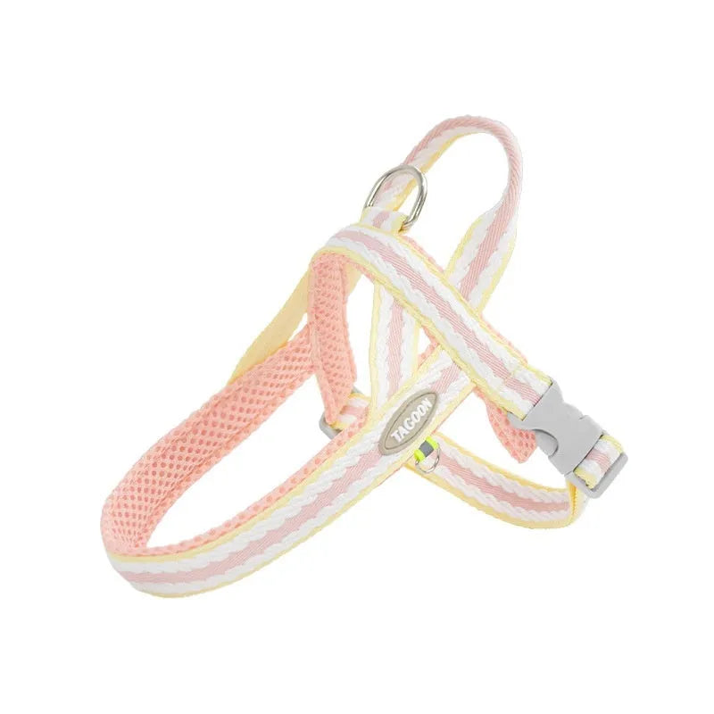 Lightweight polyester dog harness and hand-holding traction rope in sea salt yellow colour on a small dog.
