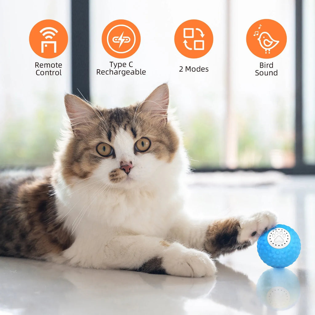 Remote control cat ball interactive toy in blue, green, or yellow colour options