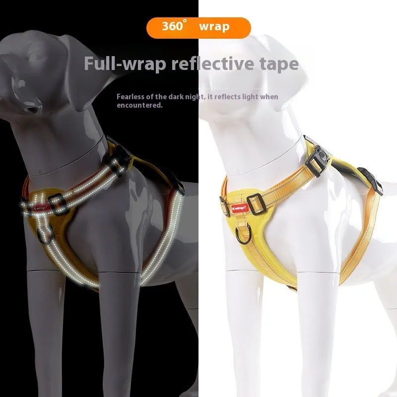 Polyester dog harness chest strap lead set in multiple colours with adjustable fitting