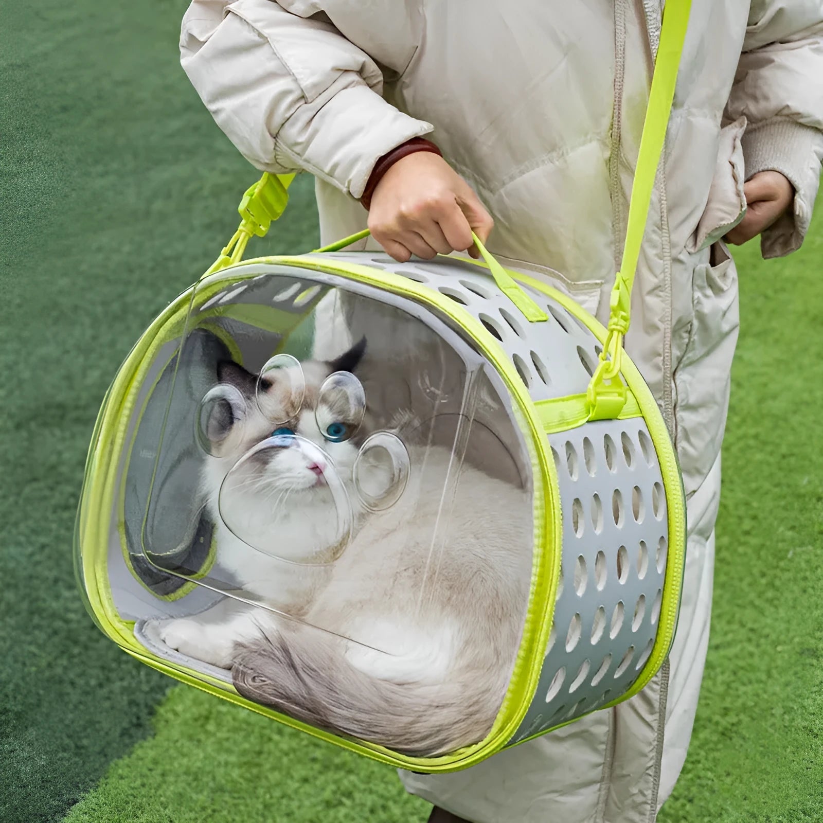 Transparent space capsule backpack for cats with EVA hard shell in large size 42cm