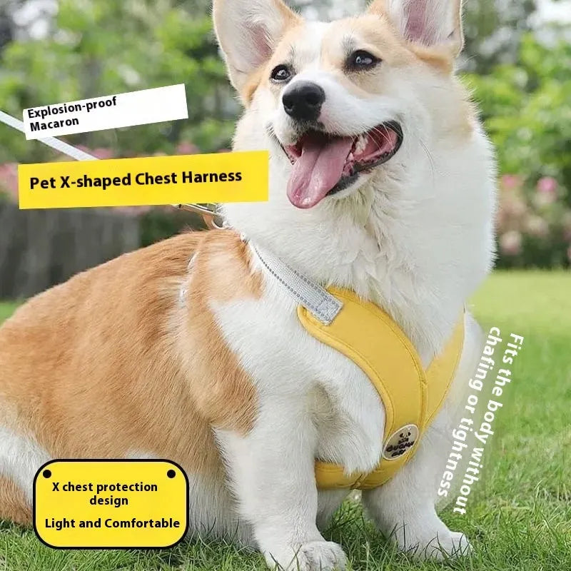 A pink dog vest harness connected to a matching hand-holding lead on a white background.