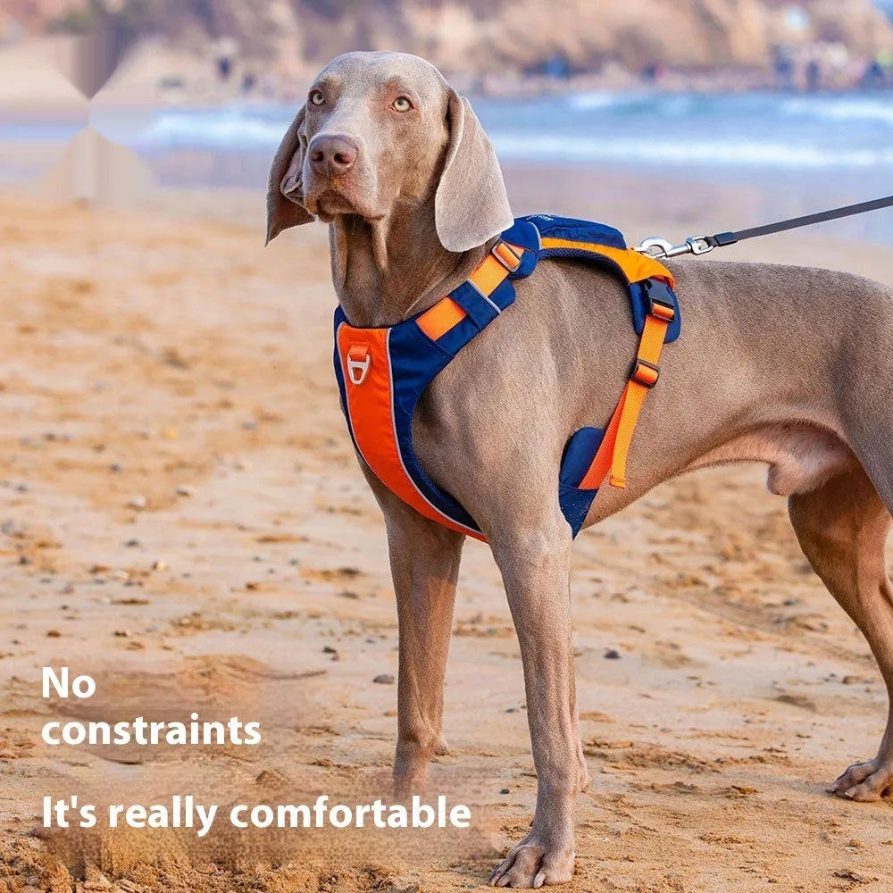 Orange-blue nylon dog chest strap vest style hand rope shown on size chart S M L XL.