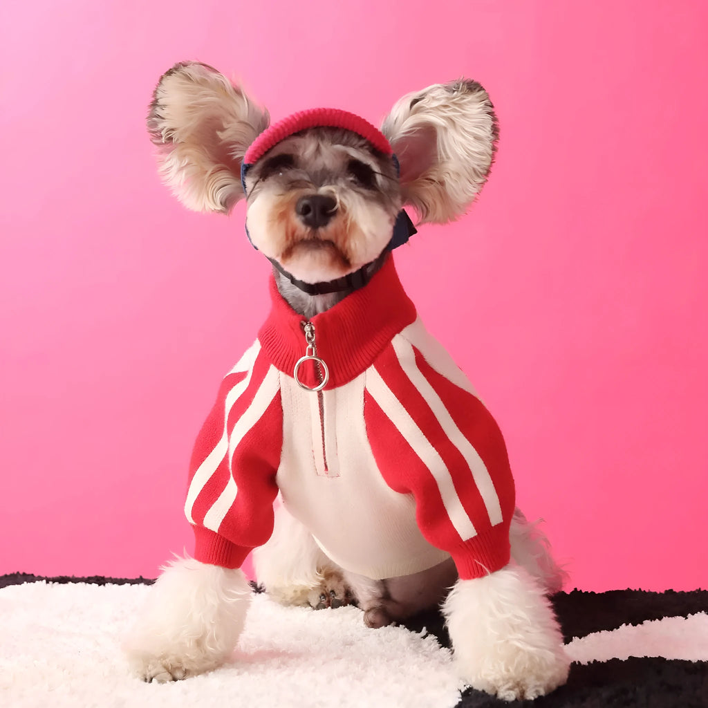 Dark green wool dog cardigan in casual sports sweater style for pet clothing