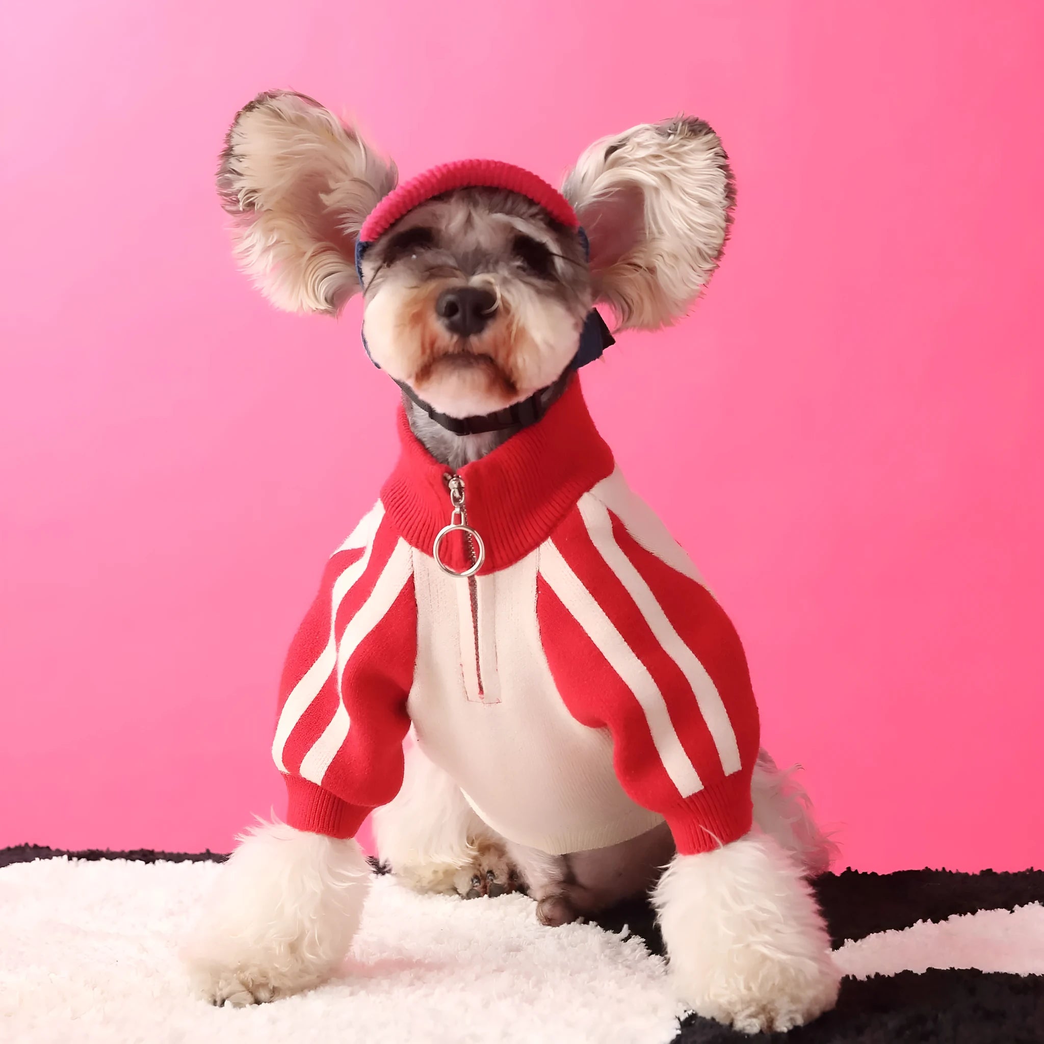 Dark green wool dog cardigan in casual sports sweater style for pet clothing