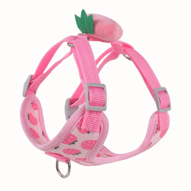 Reflective chest strap vest-style dog walking lead for small dogs in bright colours