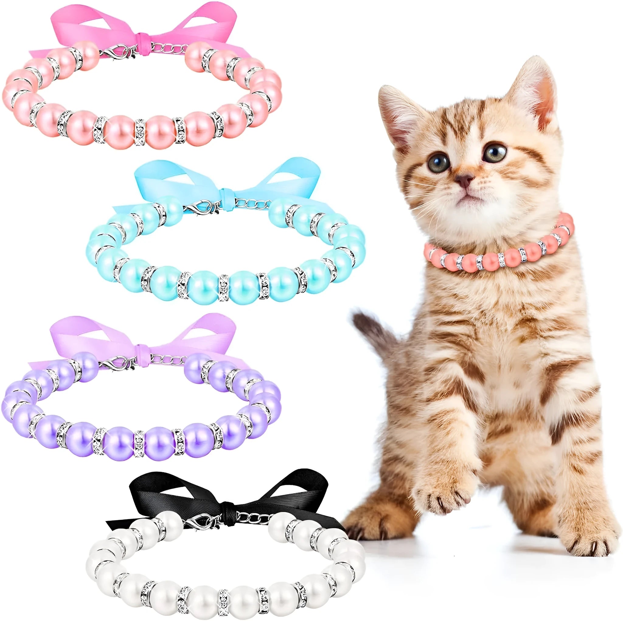 Small dog wearing a blue pearl and rhinestone necklace with a ribbon bow.