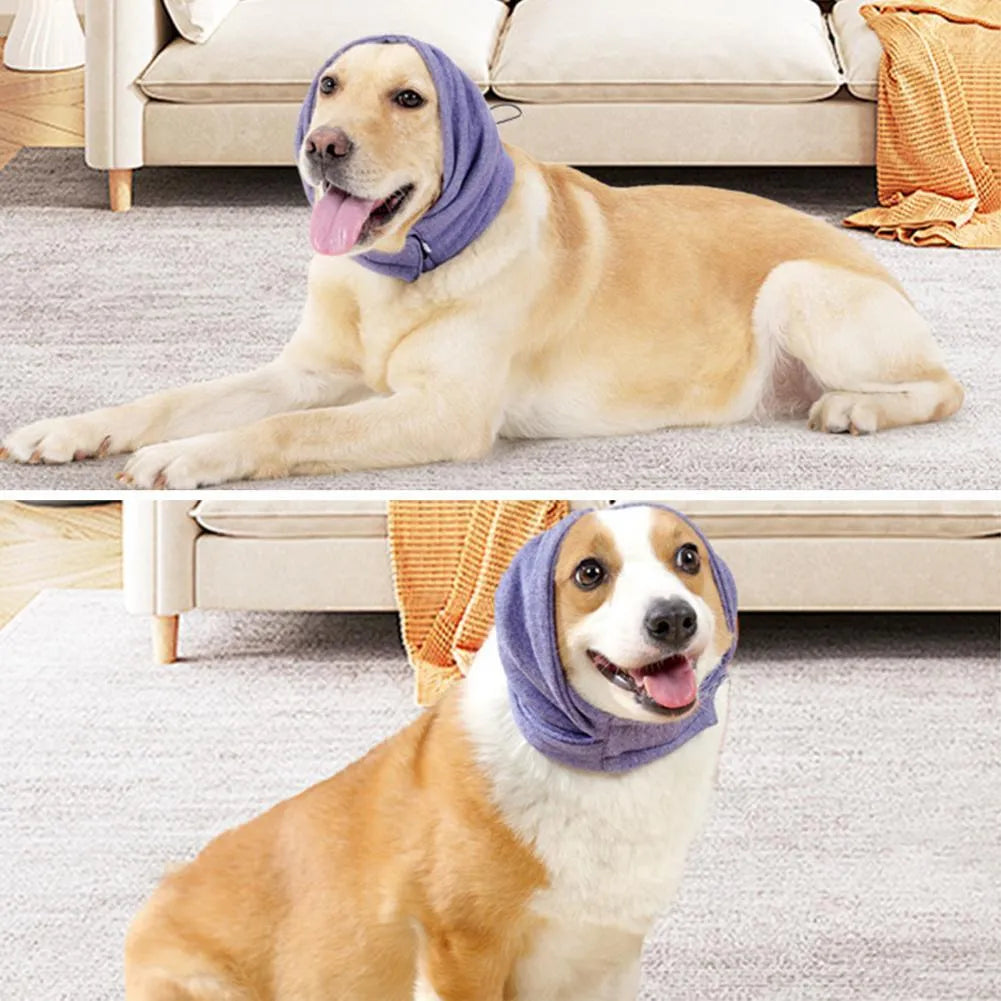 Dog wearing black calming hoodie head cover with ear wrap for noise reduction