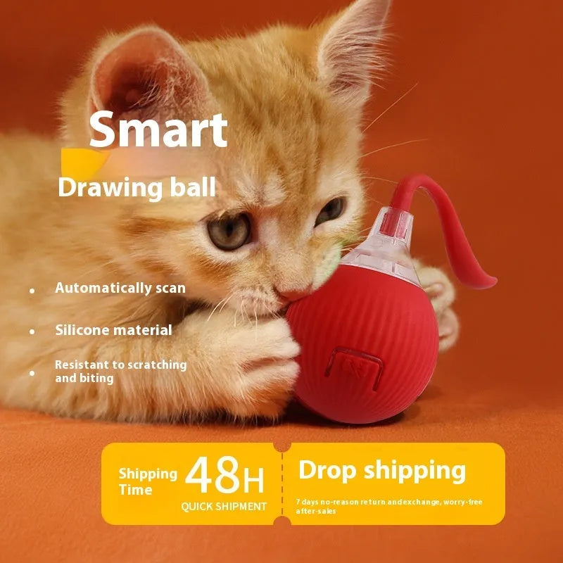 Interactive electronic cat toy ball with coloured lights on grey, green, and red backgrounds.