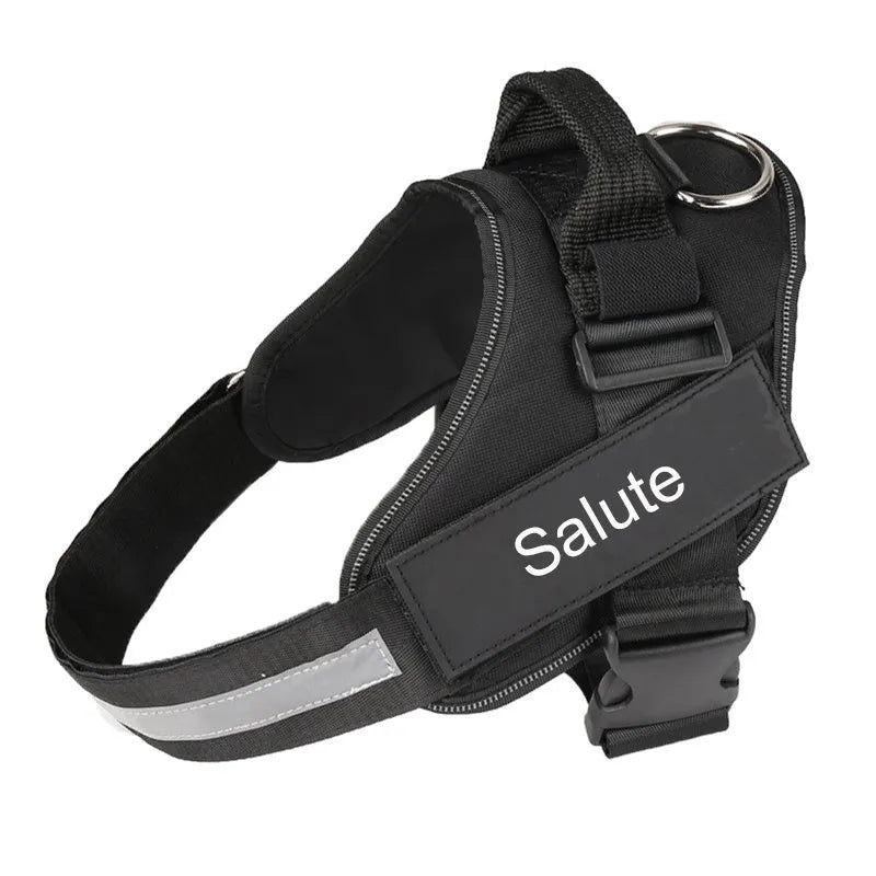 Reflective adjustable no-pull dog harness with chest strap and handle on a dog