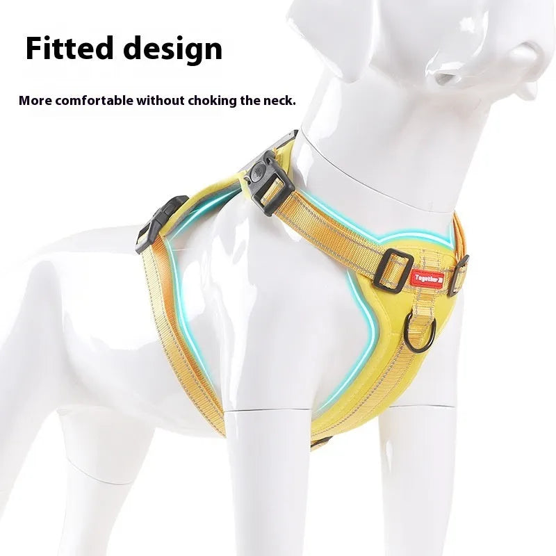 Polyester dog harness chest strap lead set in multiple colours with adjustable fitting
