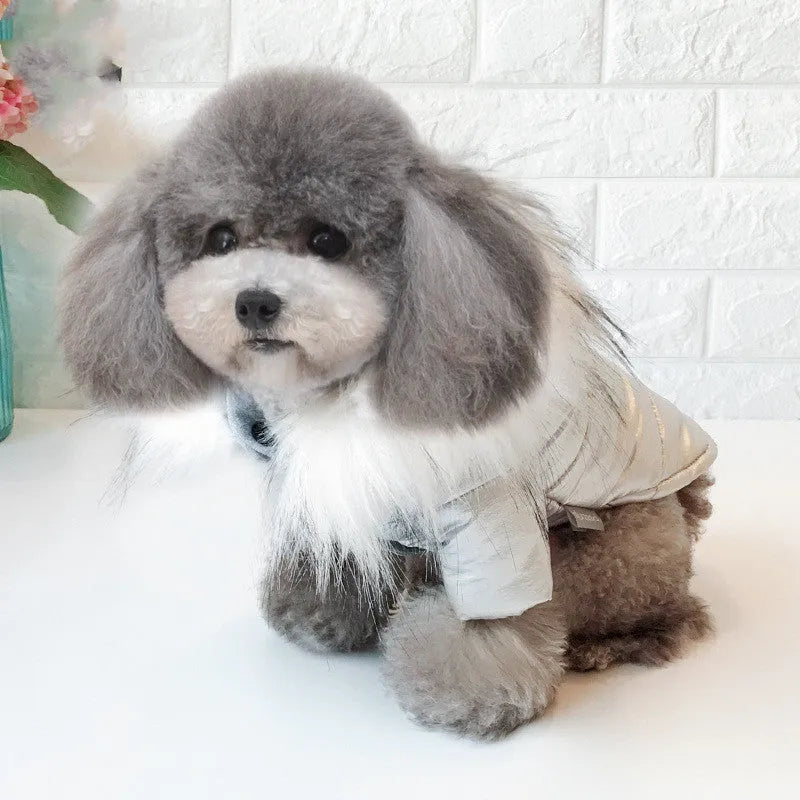 Padded winter dog coat in gold cotton, shown on a dog, size M, with neck and chest measurement details