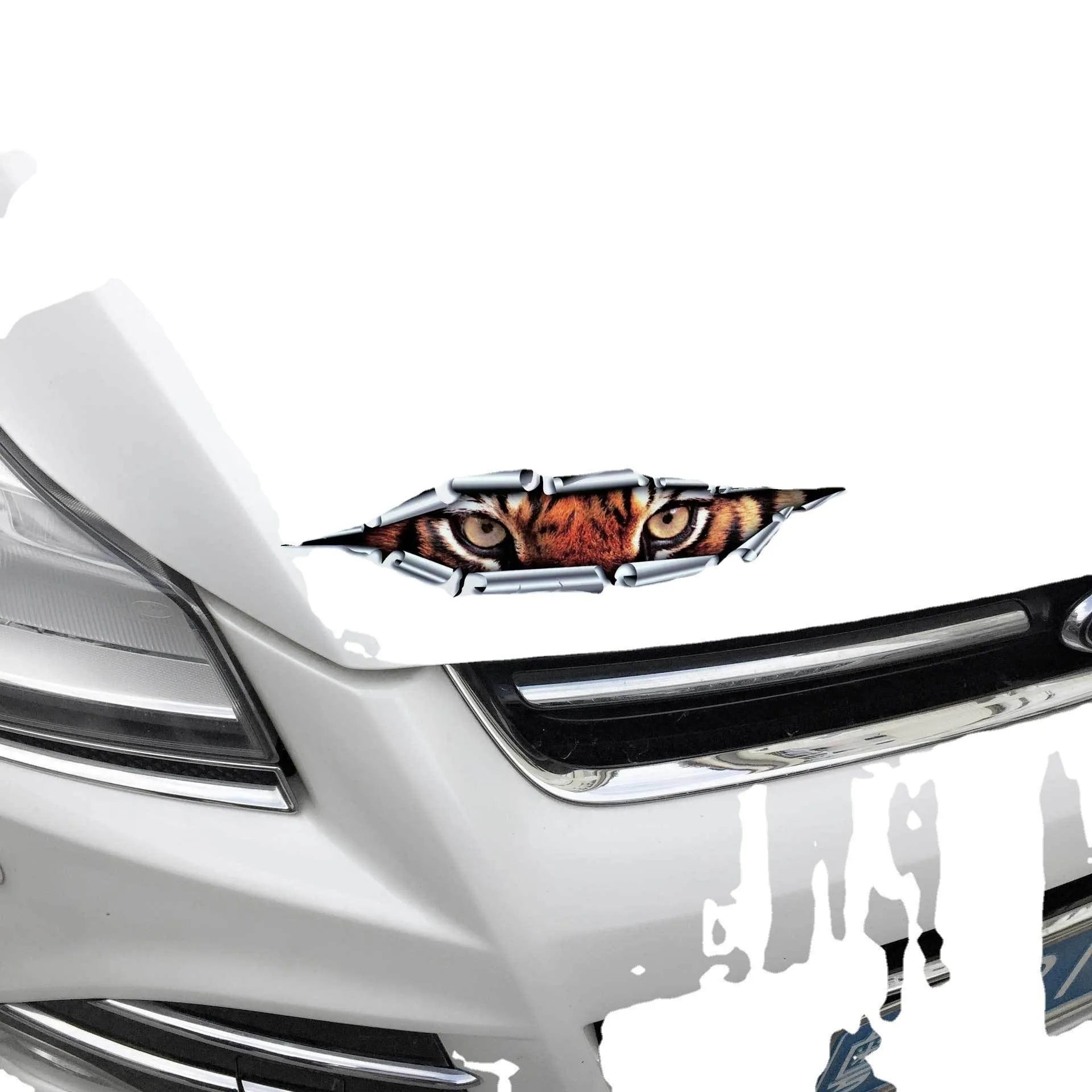 3D Tiger Eye and Eagle Eye car bumper stickers on vehicle door