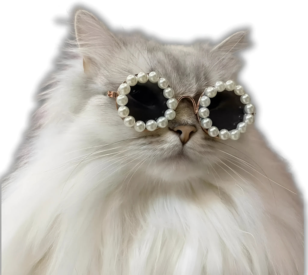 Pearl-decorated round sunglasses for cats and dogs in multiple colours and two sizes