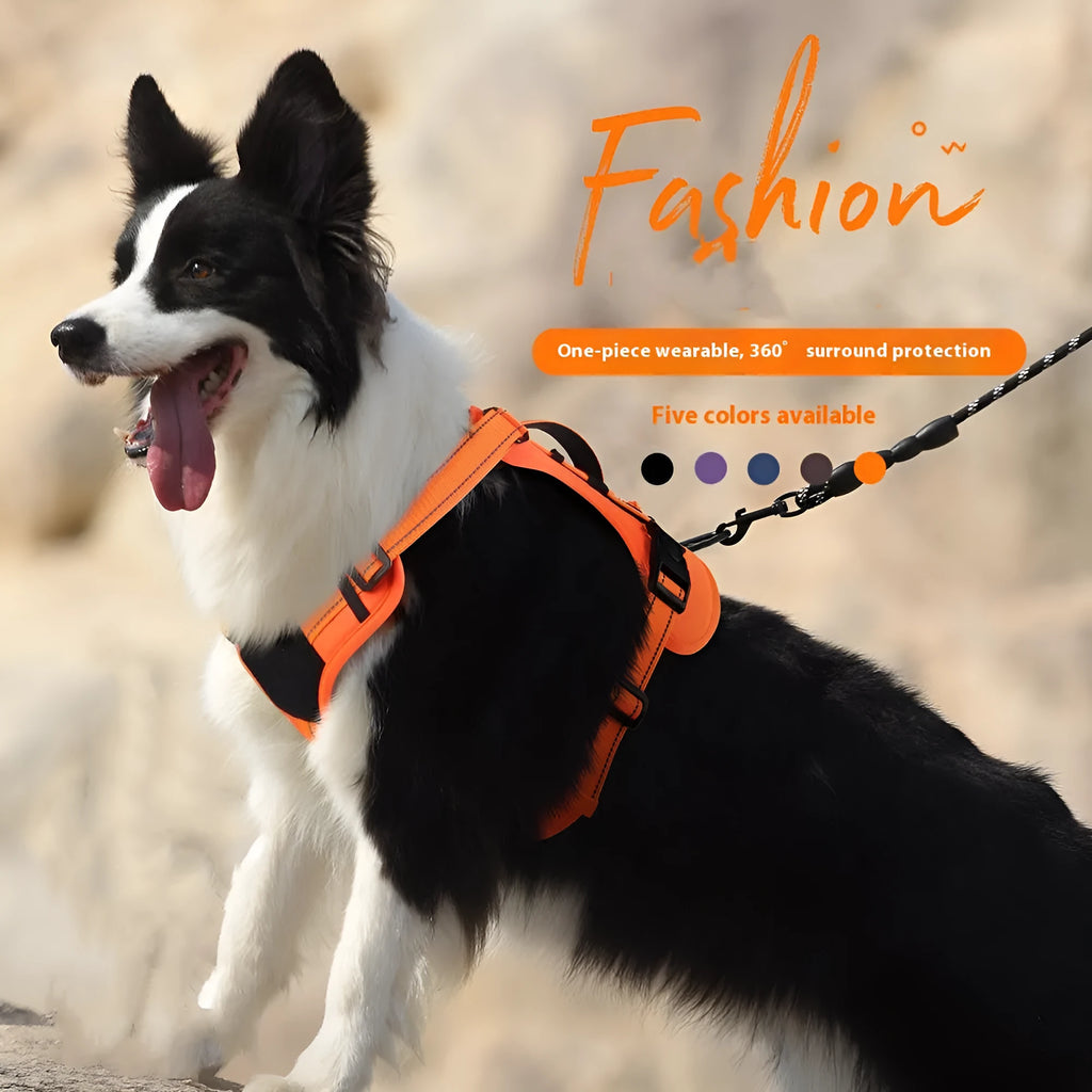 Orange reflective dog harness with black hand-holding rope shown on a dog.