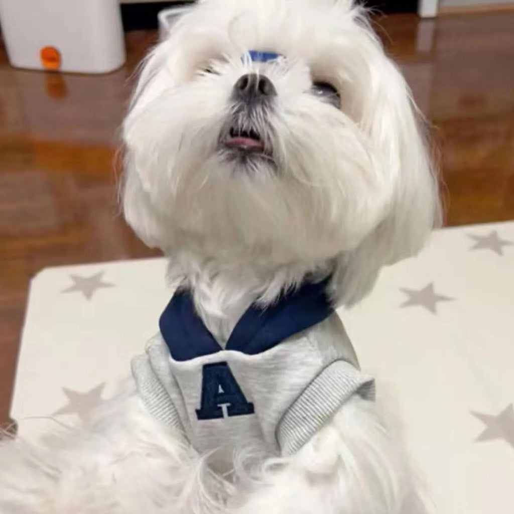 Blue and grey-white reflective letters pet hoodie for dogs and cats on mannequin
