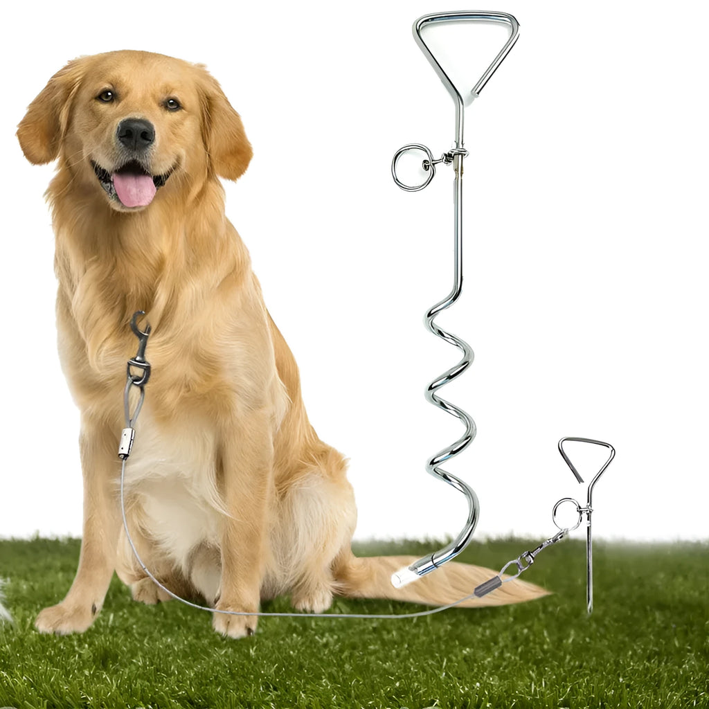 Heavy duty silver spiral dog tie out stake anchor for secure outdoor tethering