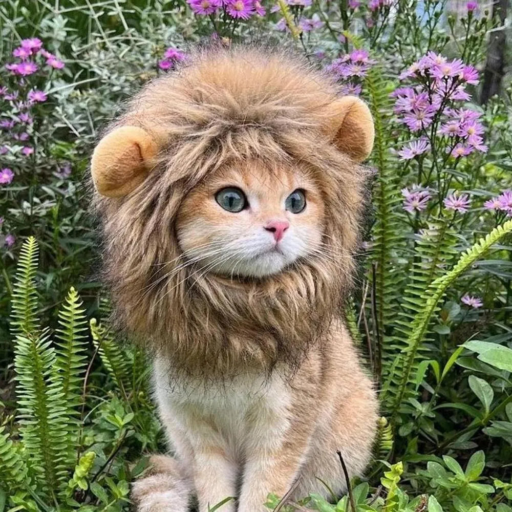 A grey cat wearing a brown lion mane wig with plush ears, showing the adjustable elastic band.