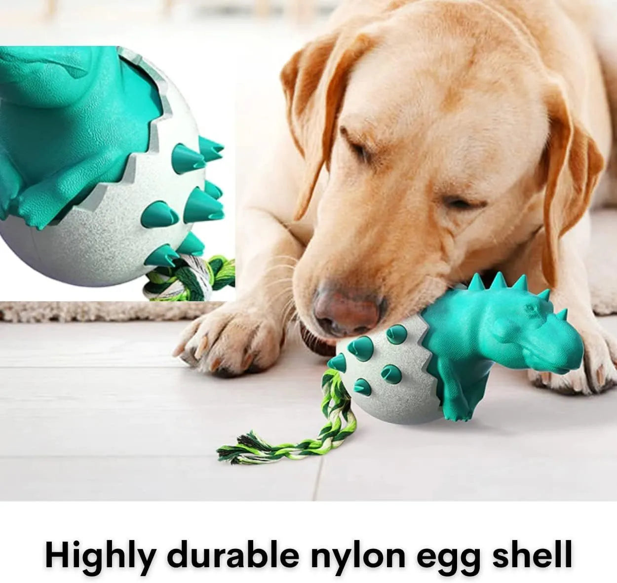 Dinosaur-shaped natural rubber dog chew toy with rope attachment in blue, green, orange or yellow