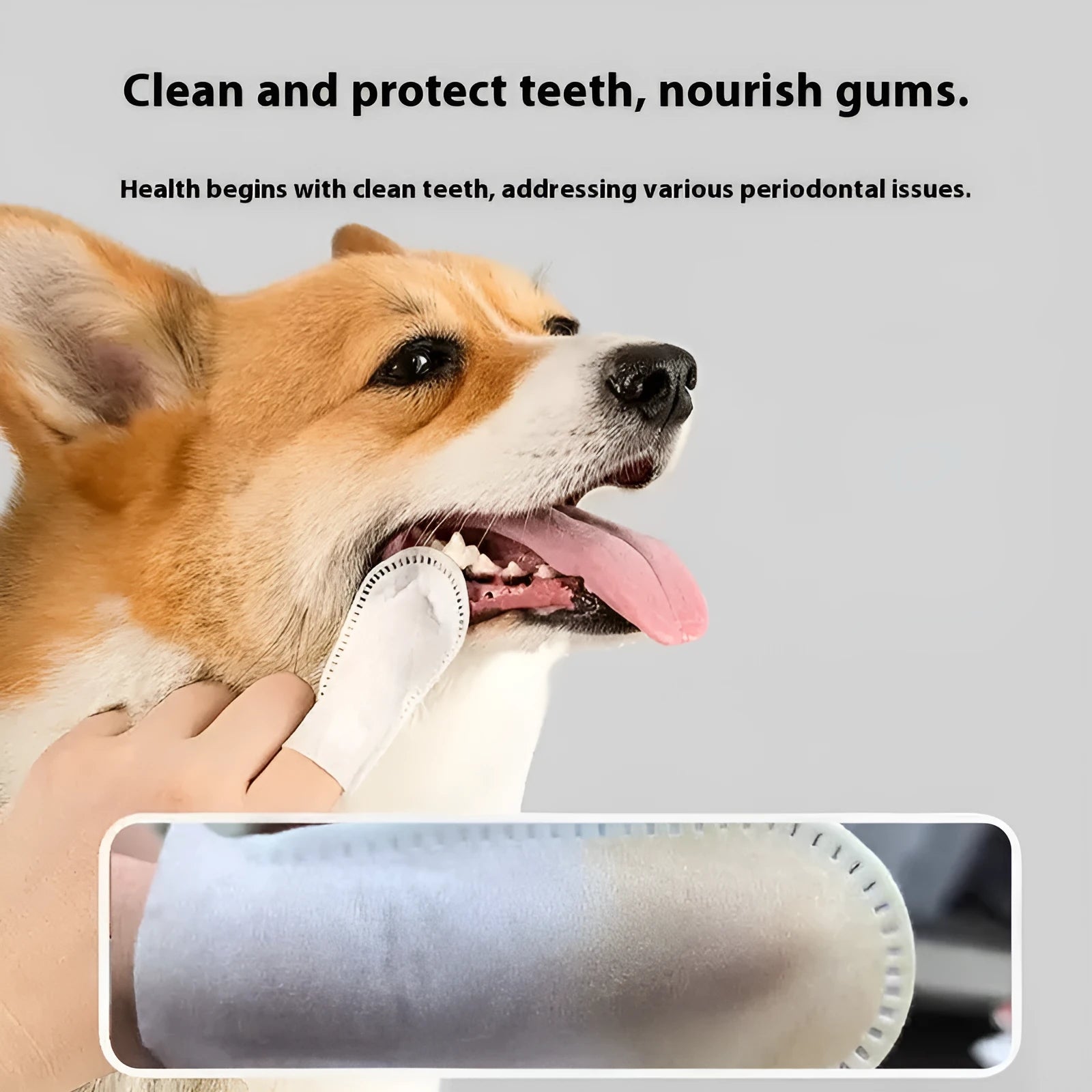 50-piece pack of pet teeth cleaning finger stalls made from non-woven fabric for dogs and cats