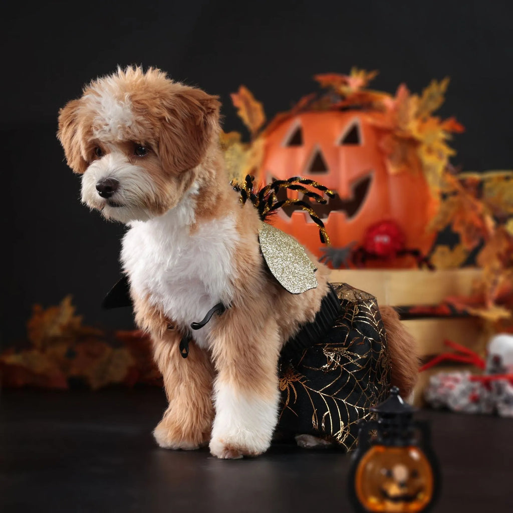 Halloween dog costume suit in polyester fabric showing suit colour design