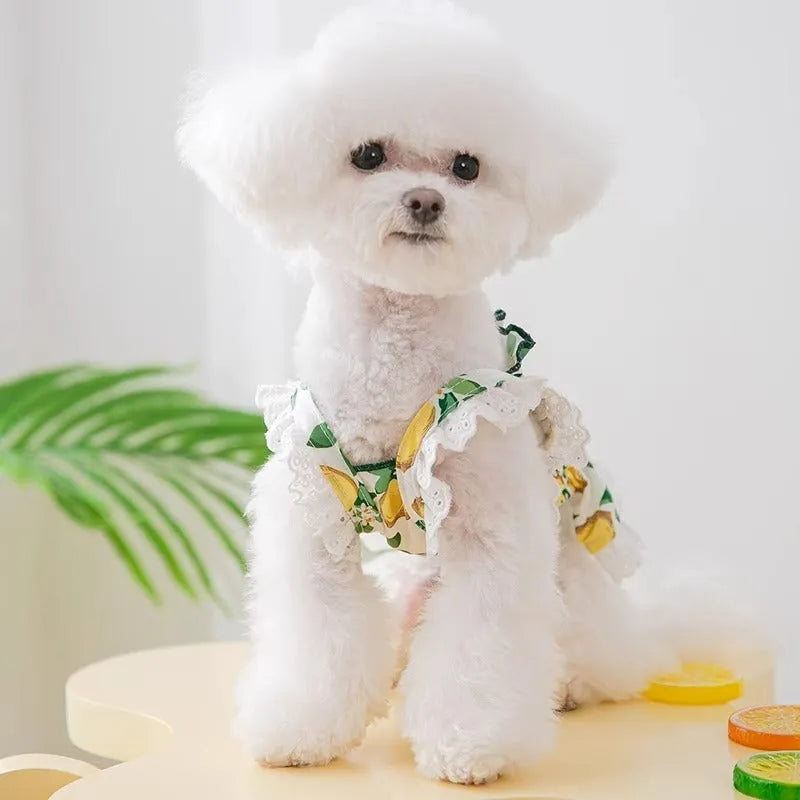 Rock yellow lemon polyester strap skirt dog dress for small dogs with breathable thin material