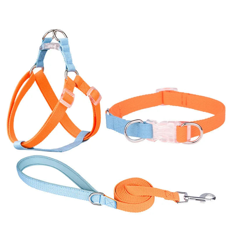 Polyester ribbon dog collar set with hand holding rope and chest strap in multiple colour options