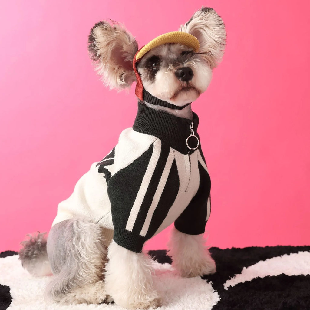 Dark green wool dog cardigan in casual sports sweater style for pet clothing