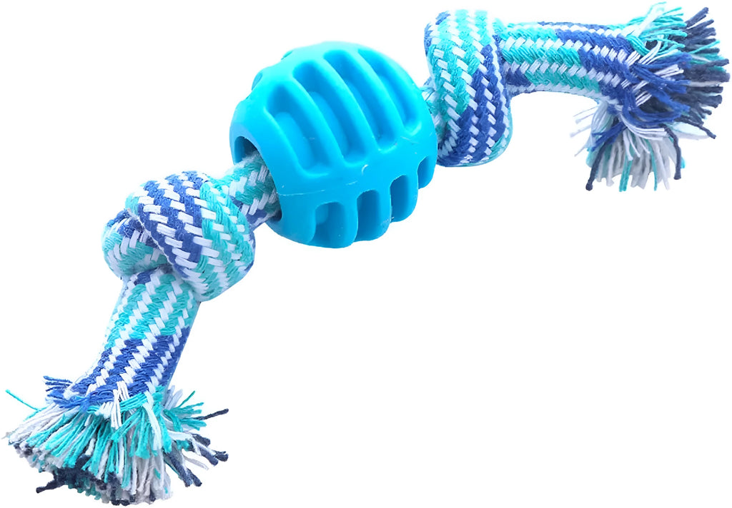 Blue dog chew toy with molar shape and rope attachment for teeth cleaning