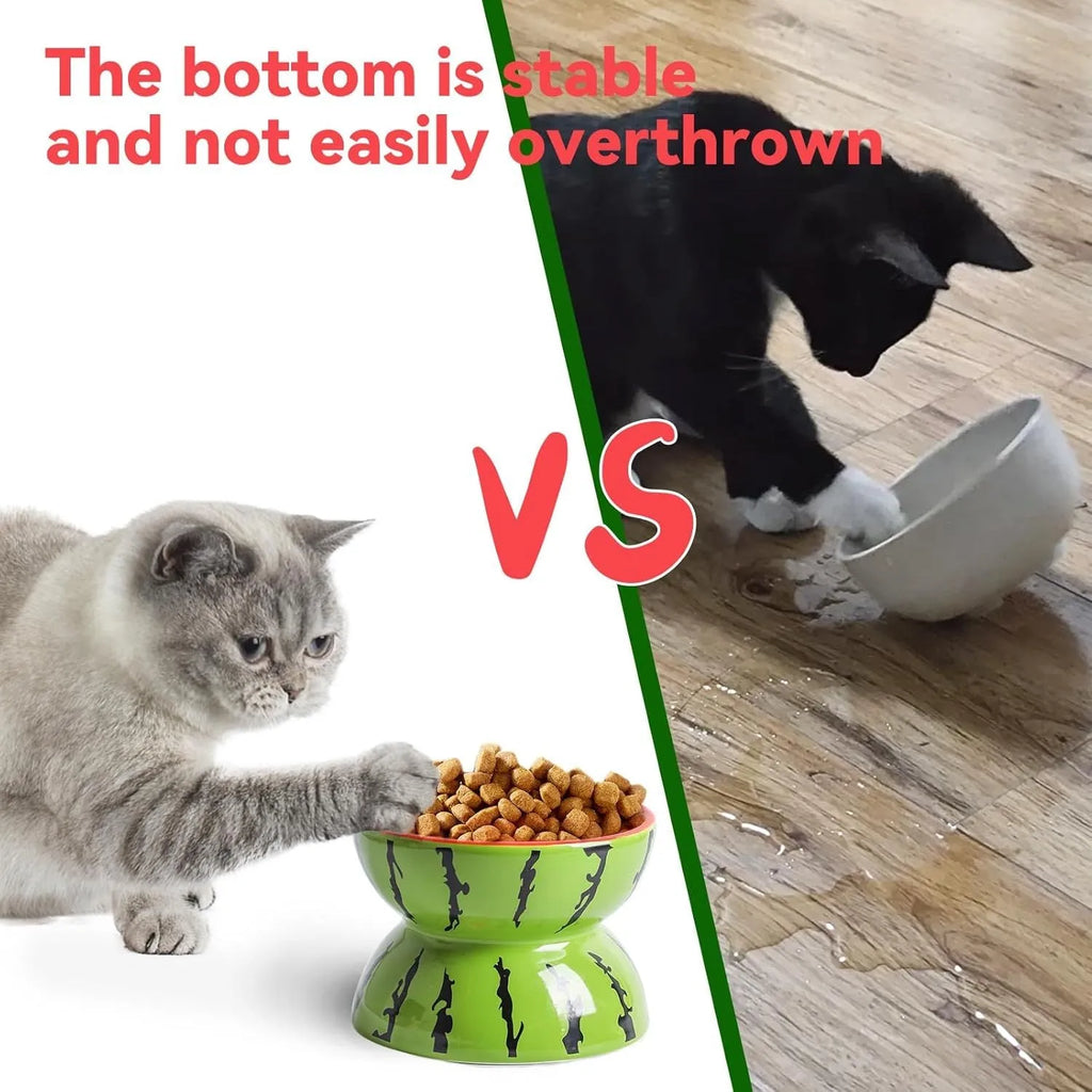 Ceramic raised cat bowl with tilted design in orange, pitaya, or watermelon patterns