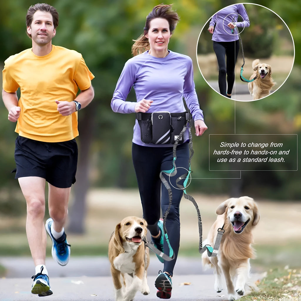 Black nylon dog walking waist bag and leash set for outdoor pet training