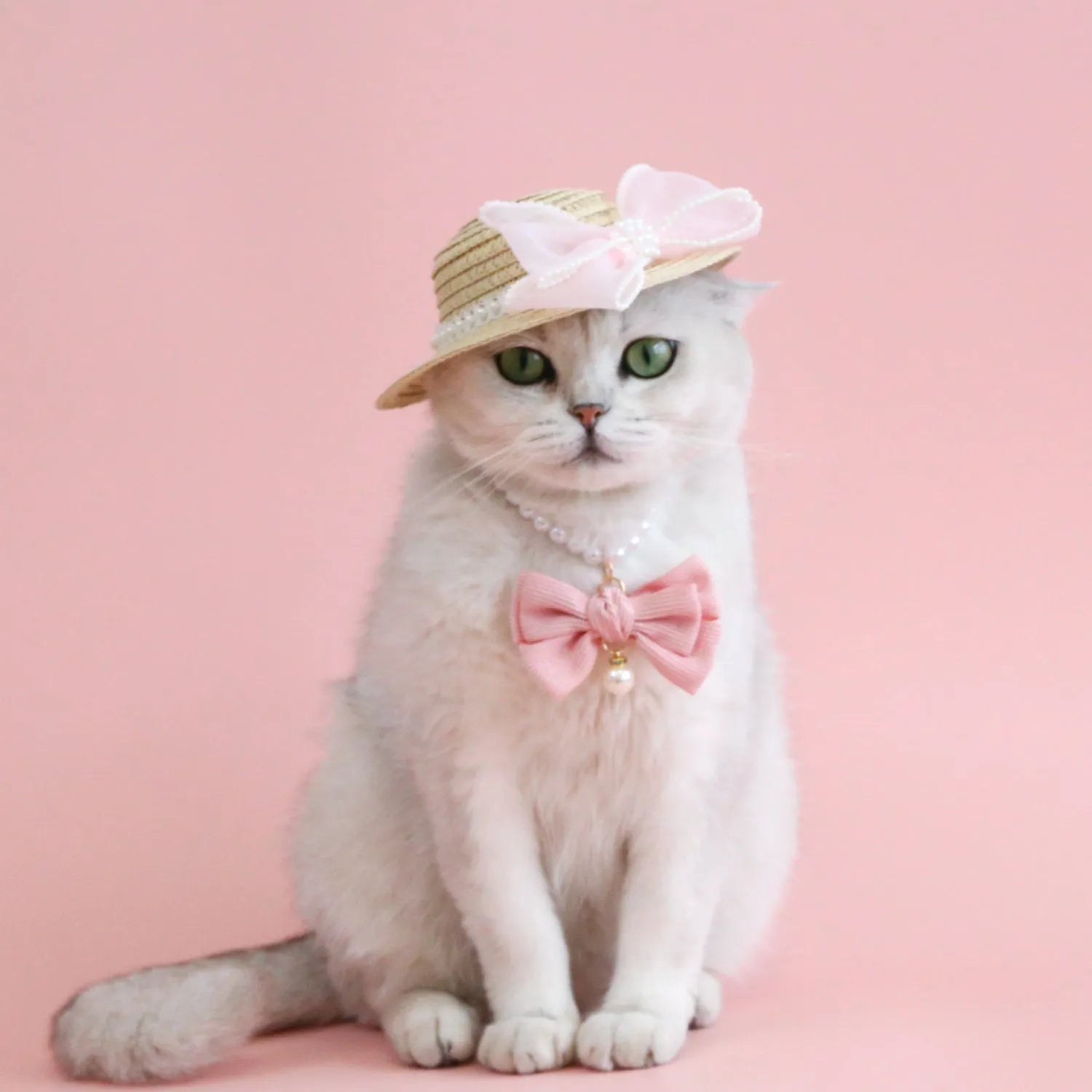 Pet cat wearing princess-style straw hat with woven pearl bow decoration in lafite leaves material