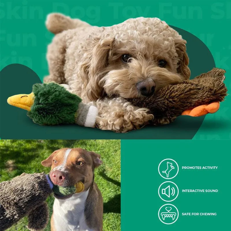 Green wild duck stuffless dog toy with a bottle inserted showing self-fasteners and plush fabric