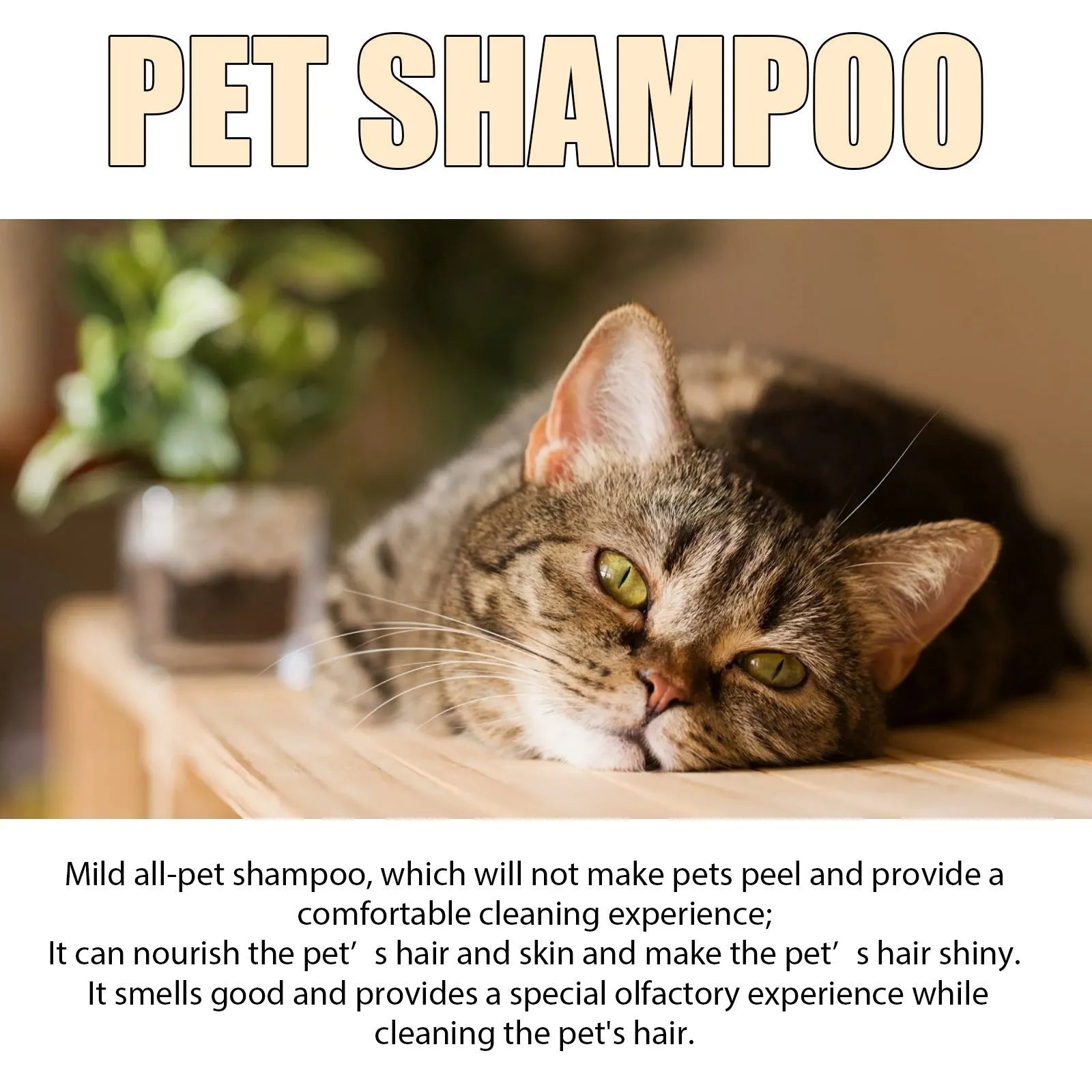 Bottle of mild pet shampoo for dogs and cats in 100ml or 300ml size.