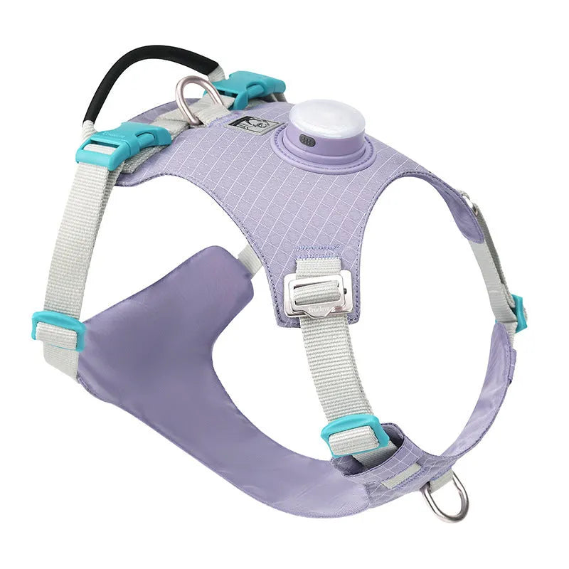 LED dog chest harness in multiple colours with adjustable straps for nighttime safety during walks