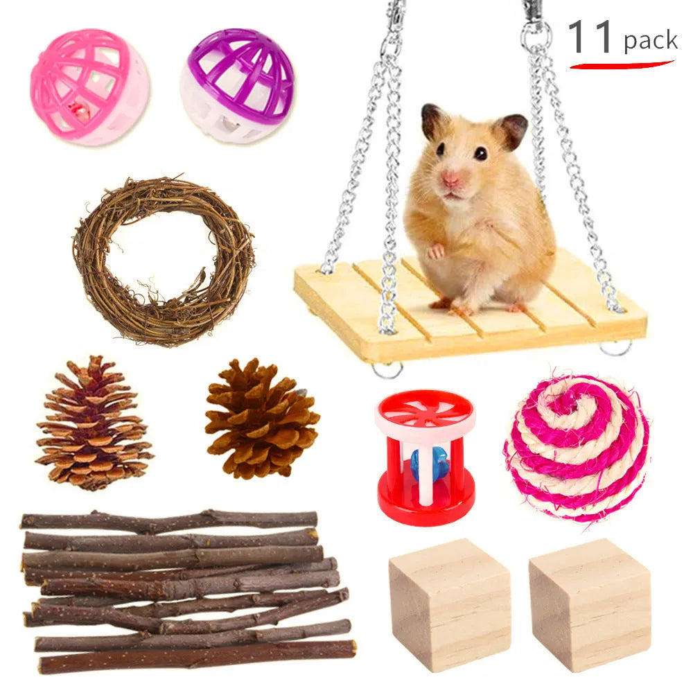 Assorted wooden chew toys for small pets including balls and mats on a natural background