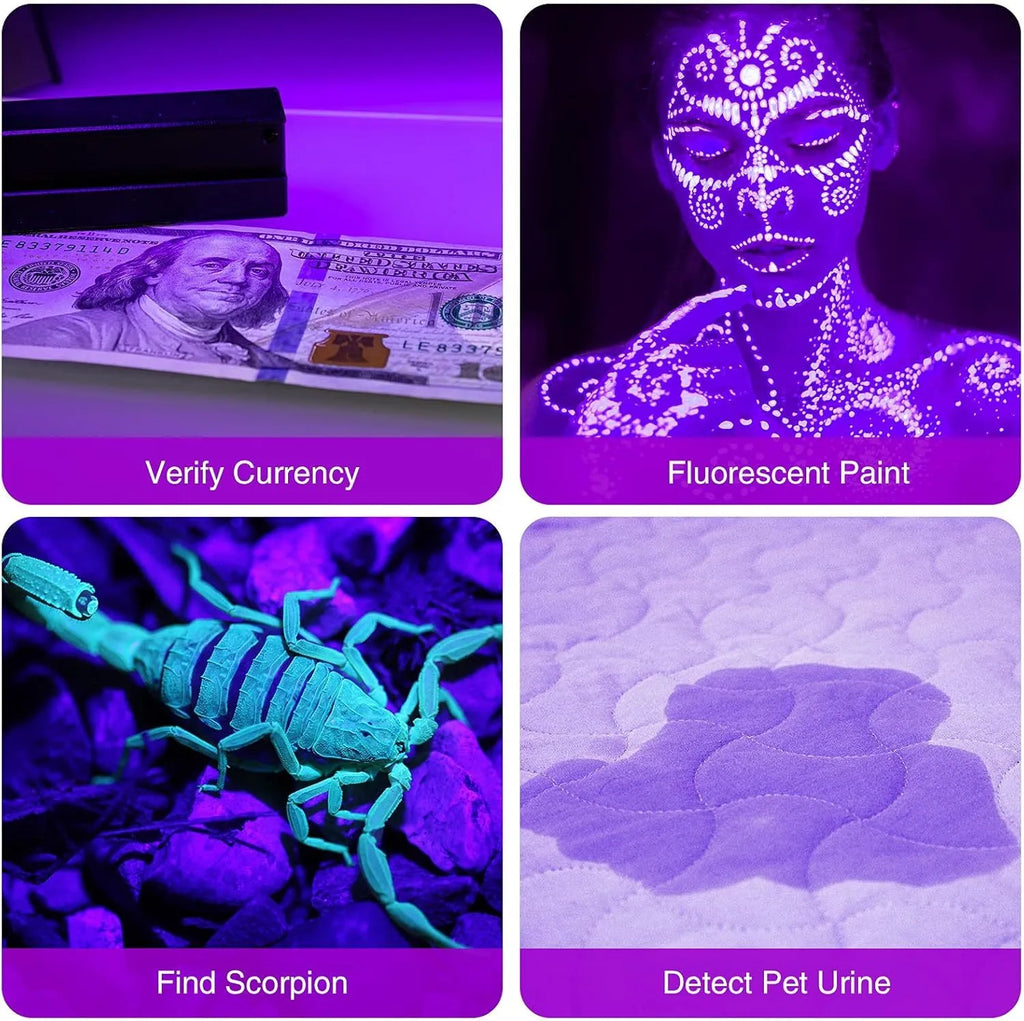 Black or silver aluminium UV flashlight for detecting pet stains and insects.