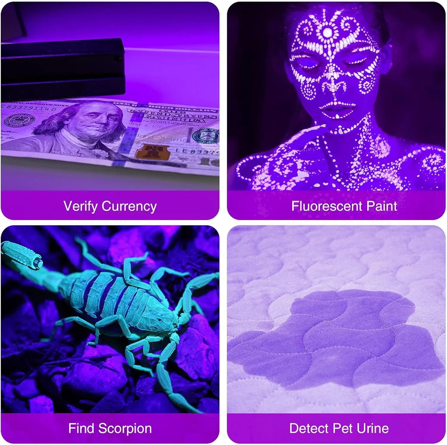 Black or silver aluminium UV flashlight for detecting pet stains and insects.